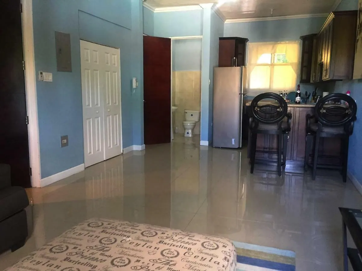 Barri Vacation Home Kingston